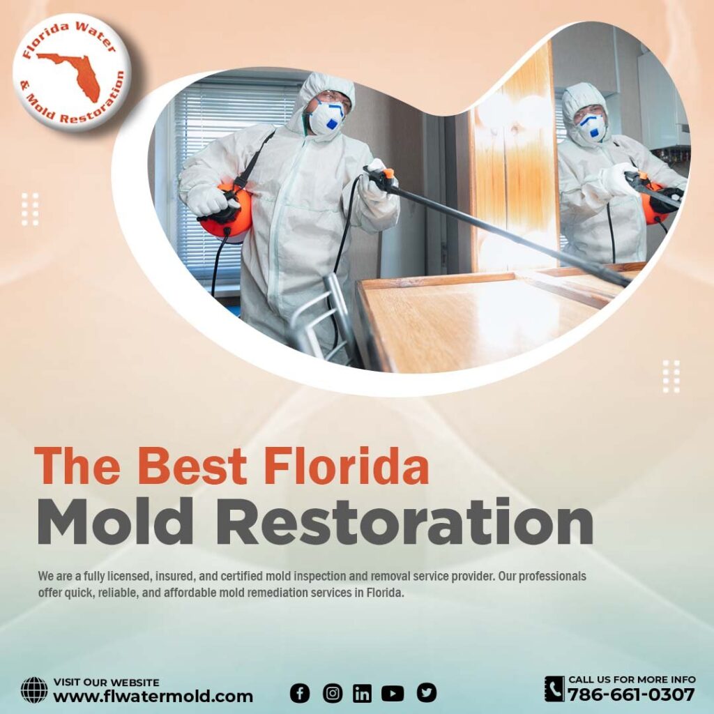 Mold Removal Service Broward County Florida